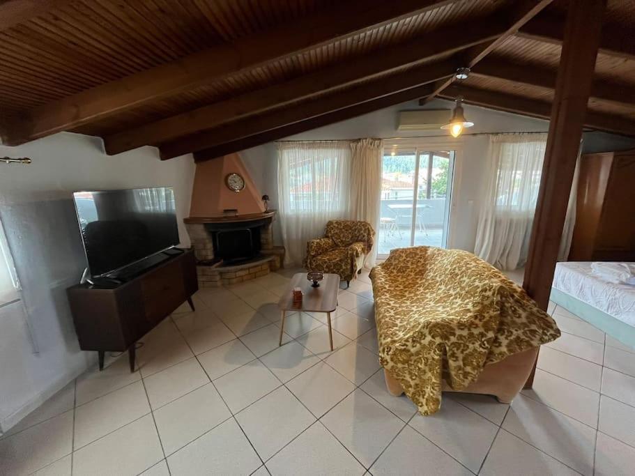 Attic With A View Apartment *